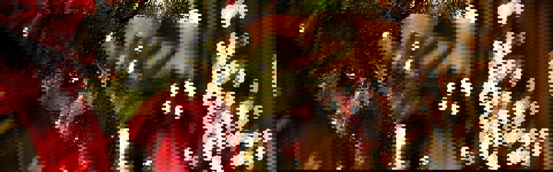 Tessa Rampersad 5Toriwf2guy Unsplash